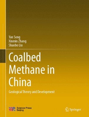 bokomslag Coalbed Methane in China