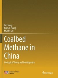 bokomslag Coalbed Methane in China