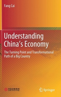 bokomslag Understanding China's Economy