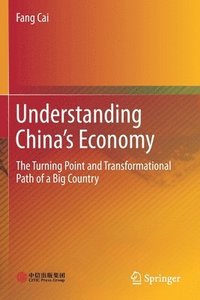bokomslag Understanding China's Economy