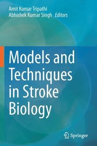 bokomslag Models and Techniques in Stroke Biology