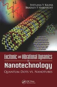 bokomslag Excitonic and Vibrational Dynamics in Nanotechnology
