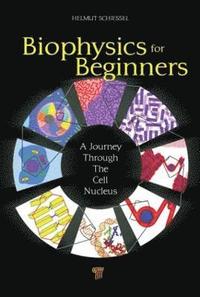 bokomslag Biophysics for Beginners