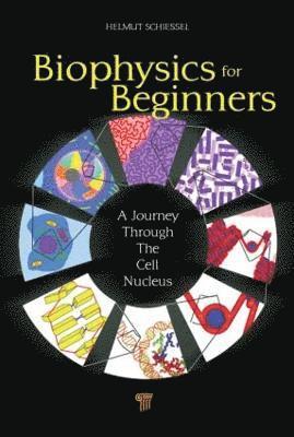 bokomslag Biophysics for Beginners