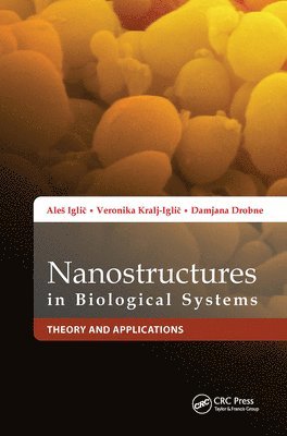 bokomslag Nanostructures in Biological Systems