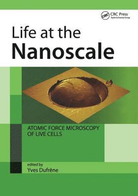 bokomslag Life at the Nanoscale