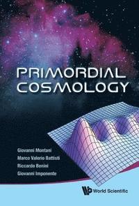 bokomslag Primordial Cosmology