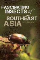 bokomslag Fascinating Insects of Southeast Asia