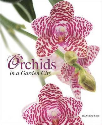 Orchids in a Garden City 1