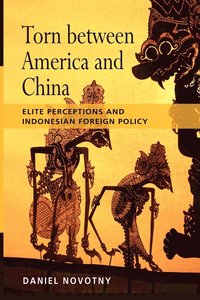 bokomslag Torn Between America and China