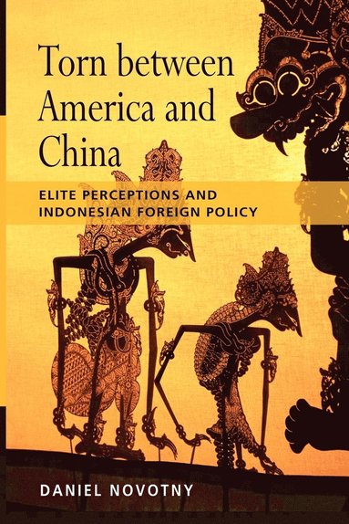 bokomslag Torn Between America and China