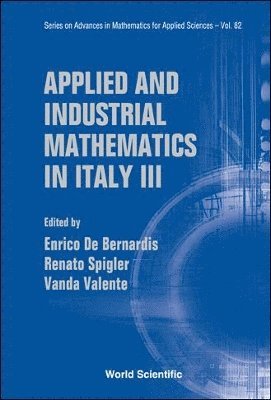 bokomslag Applied And Industrial Mathematics In Italy Iii - Proceedings Of The 9th Conference Simai
