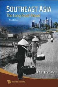 bokomslag Southeast Asia: The Long Road Ahead (3rd Edition)