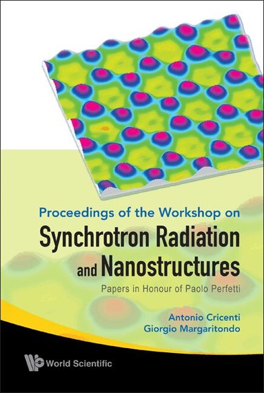 Antonio Cricenti, Giorgio Margaritondo, Antonio Cricenti, Giorgio Margaritondo - SYNCHROTRON RADIATION AND NANOSTRUCTURES: PAPERS IN HONOUR OF PAOLO PERFETTI - PROCEEDINGS OF THE WORKSHOP, Inbunden