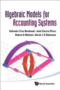 bokomslag Algebraic Models For Accounting Systems