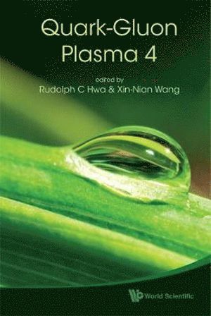 Quark-gluon Plasma 4