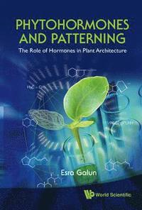bokomslag Phytohormones And Patterning: The Role Of Hormones In Plant Architecture