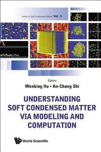 bokomslag Understanding Soft Condensed Matter Via Modeling And Computation