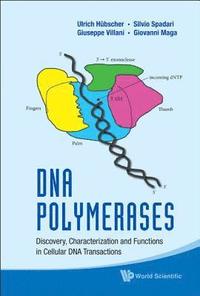 bokomslag Dna Polymerases: Discovery, Characterization And Functions In Cellular Dna Transactions