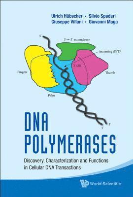 Dna Polymerases: Discovery, Characterization And Functions In Cellular Dna Transactions 1