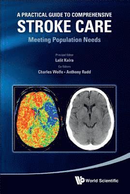 Practical Guide To Comprehensive Stroke Care, A: Meeting Population Needs 1