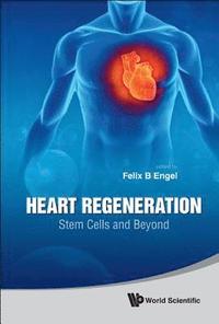 bokomslag Heart Regeneration: Stem Cells And Beyond