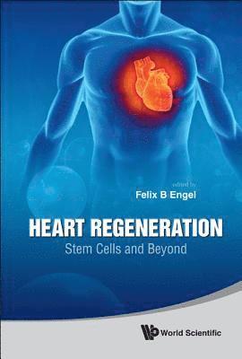bokomslag Heart Regeneration: Stem Cells And Beyond