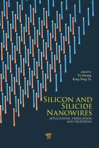 bokomslag Silicon and Silicide Nanowires