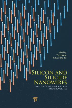 bokomslag Silicon and Silicide Nanowires