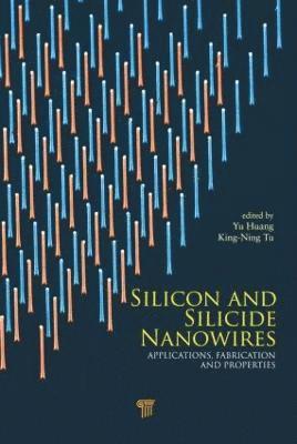 Silicon and Silicide Nanowires 1