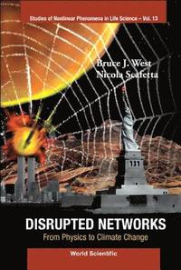 bokomslag Disrupted Networks: From Physics To Climate Change