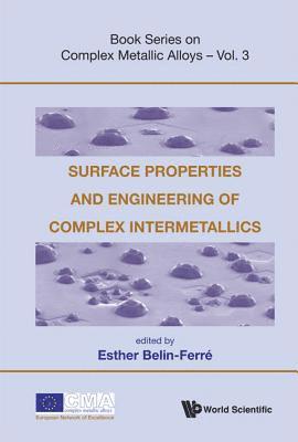BELIN-FERRE ESTHER, Belin-Ferre Esther, Esther Belin-ferre, France) Belin-ferre, Esther (Lab De Chimie Physique Matiere Et Rayonnement, Centre National De La Recherche Scientifique, Univ Pierre Et Marie Curie, Esther Belin-Ferre - Surface Properties And Engineering Of Complex Intermetallics, Inbunden