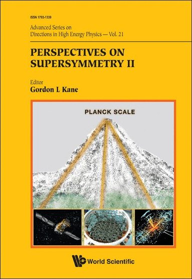 Kane Gordon L, Gordon L Kane - PERSPECTIVES ON SUPERSYMMETRY II, Inbunden
