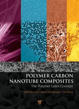 Cor Koning, Marie-Claire Hermant, Nadia Grossiord - Polymer Carbon Nanotube Composites, Inbunden