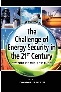 bokomslag Challenge of Energy Security in the 21st Century