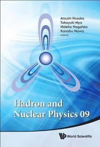 bokomslag Hadron And Nuclear Physics 09