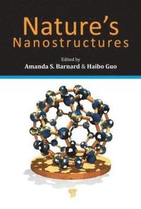 bokomslag Nature's Nanostructures