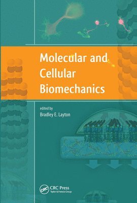 Molecular and Cellular Biomechanics 1