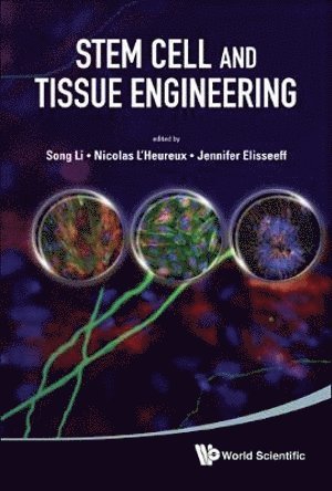 bokomslag Stem Cell And Tissue Engineering