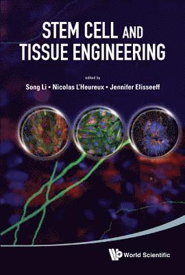 LI SONG, Li Song, Song Li, Nicolas L'heureux, Jennifer Elisseeff, Usa) Li, Song (Univ Of California, Los Angeles, France) L'heureux, Nicolas (National Inst For Health & Medical Research (Inserm), Usa) Elisseeff, Jennifer (Johns Hopkins Univ, Nicolas L'Heureux - Stem Cell And Tissue Engineering, Inbunden
