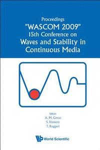 bokomslag Waves And Stability In Continuous Media - Proceedings Of The 15th Conference On Wascom 2009