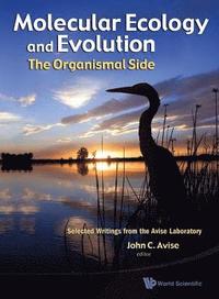 bokomslag Molecular Ecology And Evolution: The Organismal Side: Selected Writings From The Avise Laboratory
