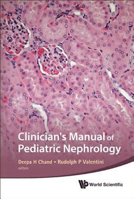 bokomslag Clinician's Manual Of Pediatric Nephrology