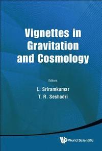 bokomslag Vignettes In Gravitation And Cosmology