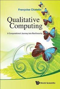 bokomslag Qualitative Computing: A Computational Journey Into Nonlinearity