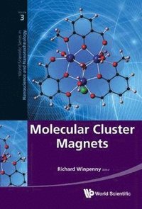 bokomslag Molecular Cluster Magnets