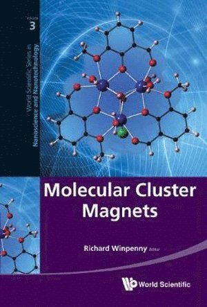 bokomslag Molecular Cluster Magnets