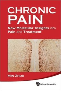 bokomslag Chronic Pain: New Molecular Insights Into Pain And Treatment