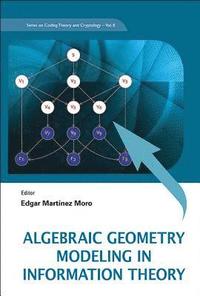 bokomslag Algebraic Geometry Modeling In Information Theory