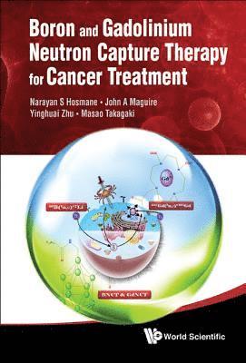 bokomslag Boron And Gadolinium Neutron Capture Therapy For Cancer Treatment